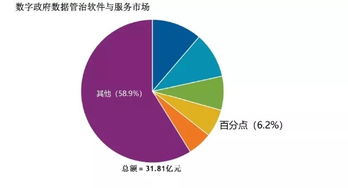 百分點躋身IDC數字政府數據管理與治理軟件和服務市場第四名，數據處理服務獲認可